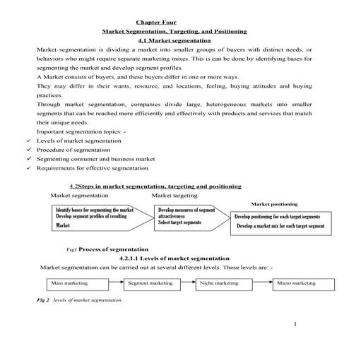 Levels and Pattern of Market Segmentation | PPTX