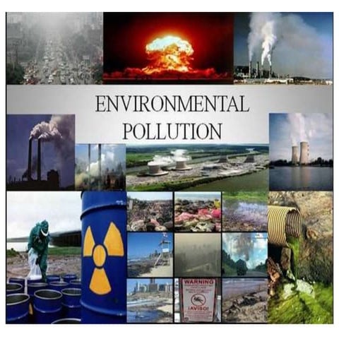 Chapter 4 - Environmental Pollution.pptx