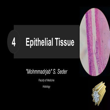 Epithelial Tissue Histology