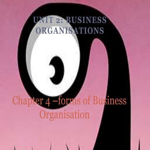 Chapter 4   forms of a business organisation