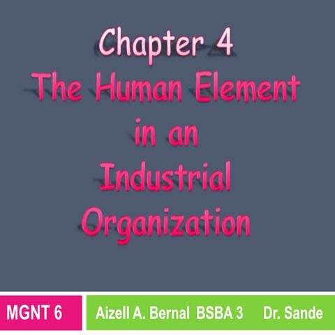 The Human Element In An Iindustrial Organization