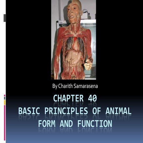 1. animal form and function. animal form and function. animal form and ...