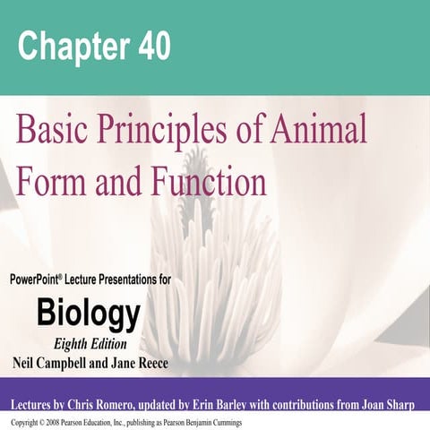 Chapter 40 formn function