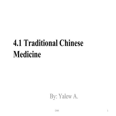 Comprehensive Overview of Traditional Chinese Medicine Principles and ...