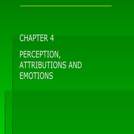 HBO Handout Chapter 4 (Perception, Attribution and Emotions)