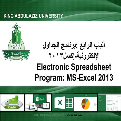 CPIT100 Chapter 4 excel