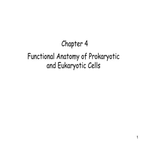 Chapter 4 functional anatomy of prok and euk partial
