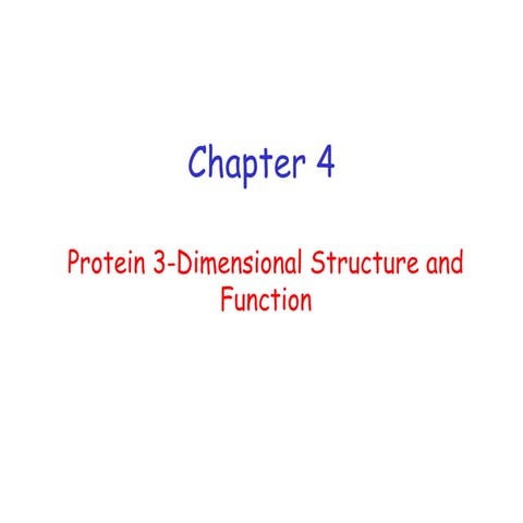 Chapter 4 (part 1)   protein structure introduction- 2nd structure
