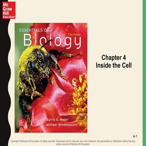 Chapter 4 Inside the Cell