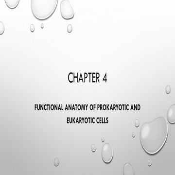 Chapter 4 (Prokaryotic and Eukaryotic Cell).pdf