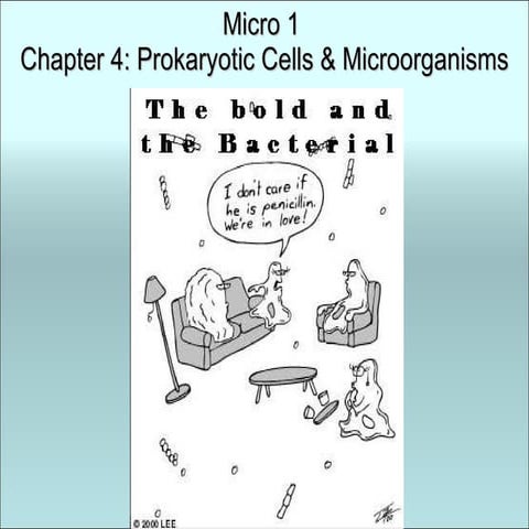 Chapter 4 prokaryotic profiles micro 1