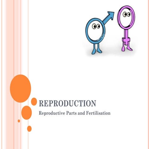 Form 3 Science Chapter 4 Reproductive System and fertilisation