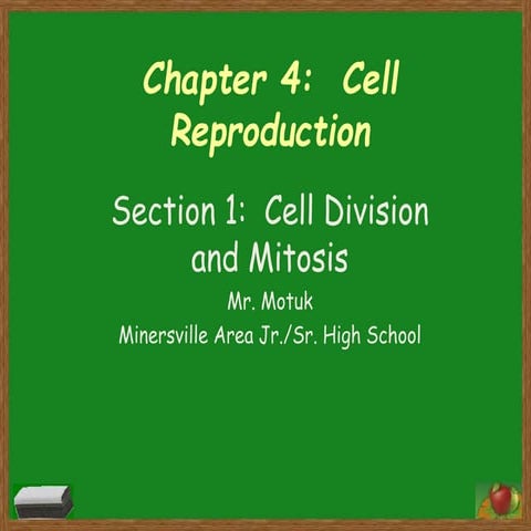 Chapter 4 section 1 (cell divsion and mitosis)
