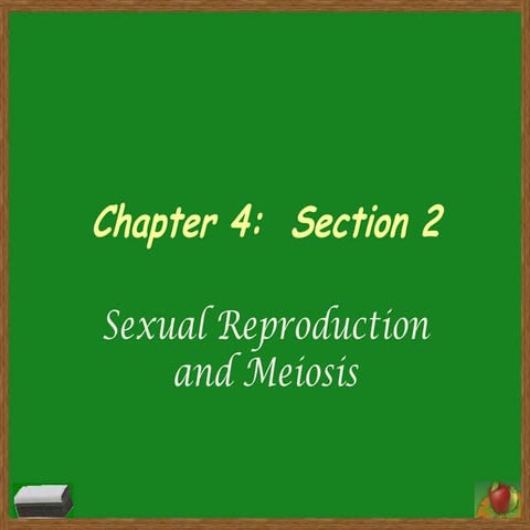 Chapter 4 Section 2 Notes | PPT