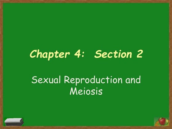 Chapter 6 Section 1: Ideas About Evolution | PPTX