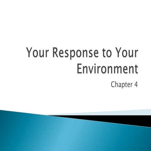 CCP Chapter 4 Power Point | PPTX