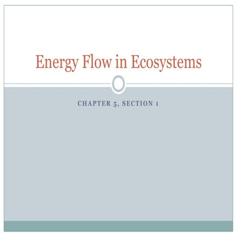 Ecology - Chapter 5 Section 1