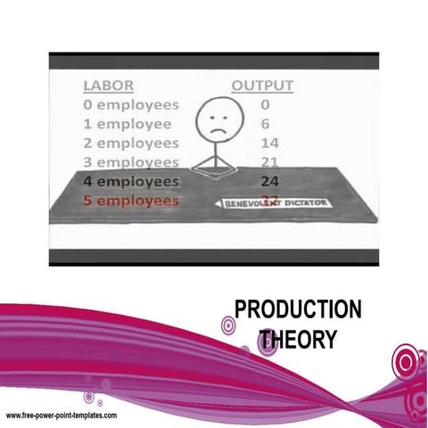 Production Theory