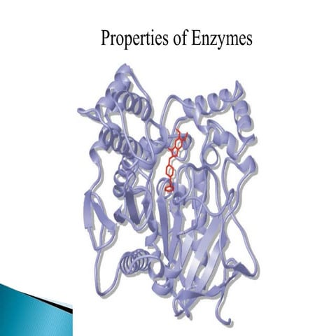 properties of enzyme