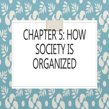 Chapter 5:HOW SOCIETY IS ORGANIZED