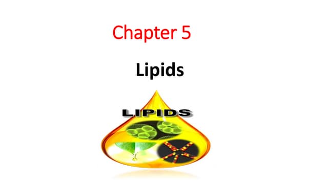 Chapter 5.pdf