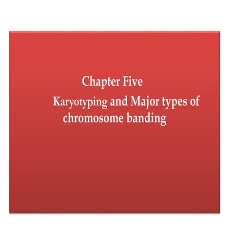 chapter 5. xms banding and karyotyping.pptx