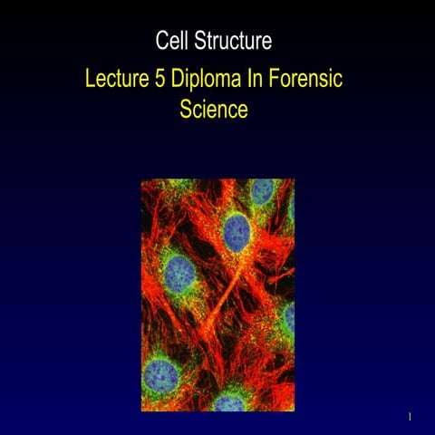 Chapter 5 - Cell Structure.ppt. show functions | PPT