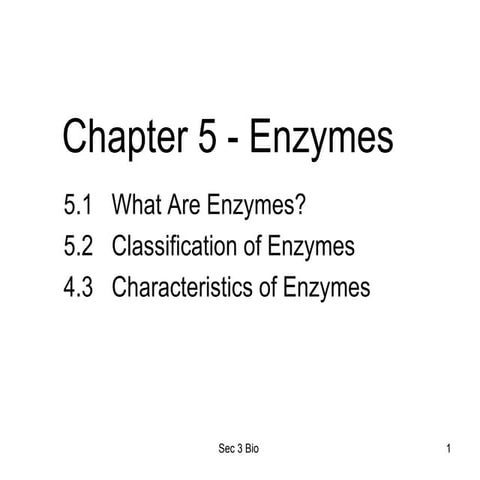Chapter 5   enzymes