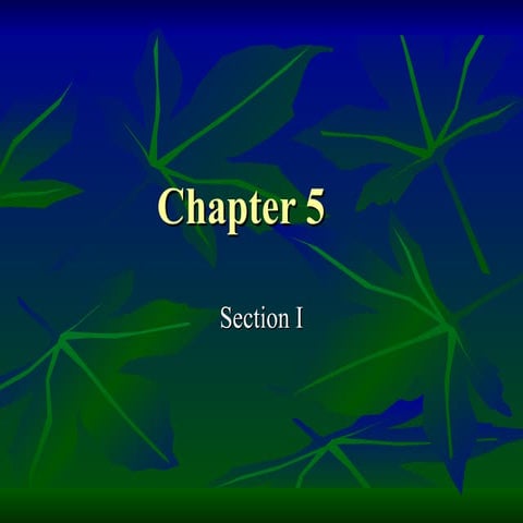 Chapter 5 follows | PPT