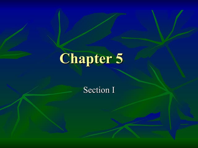 Chapter 5 follows | PPT