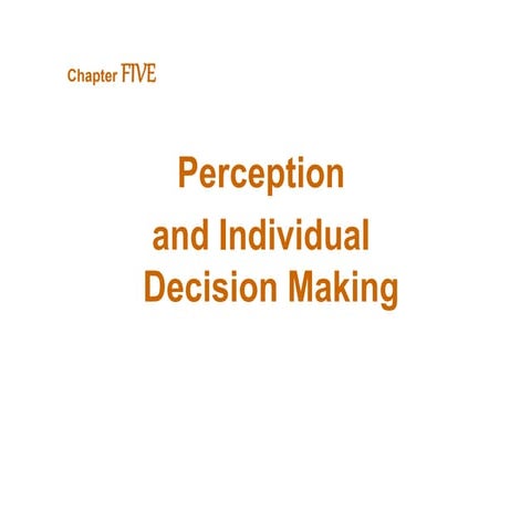 Chapter 5   perception and individual decision making