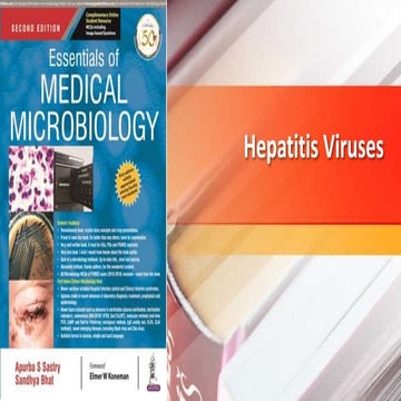 Chapter 50 Hepatitis Viruses.pptx education