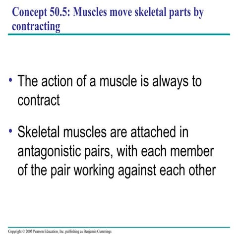 Chapter 50: Sensory and Motor Mechansims