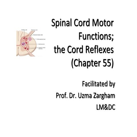 Chapter 55 Part 1Motor Functions of the spinal .pptcord.pdf