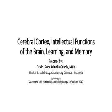 Chapter 58   cerebral cortex, intellectual functions
