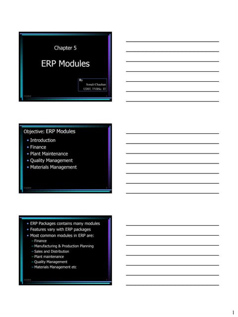 Chapter 5  E R P  Modules    Alexis  Leon