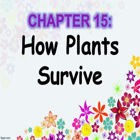 Chapter 5 : How Plants Survive