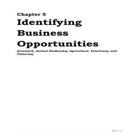 Handbook of Entrepreneurship- Chapter 5: Identifying business opportunity.docx