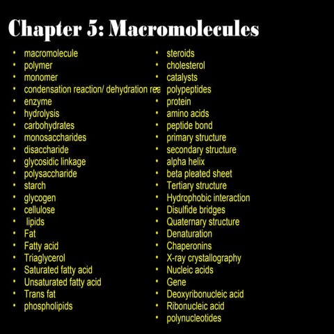 Chapter 5 macromolecules