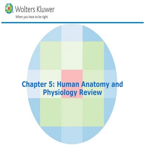Chapter 5 powerpoint | PPT