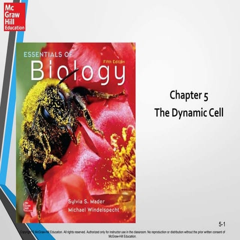 Chapter 5 The Dynamic Cell