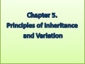 Chapter 5 principles of inheritance and variation