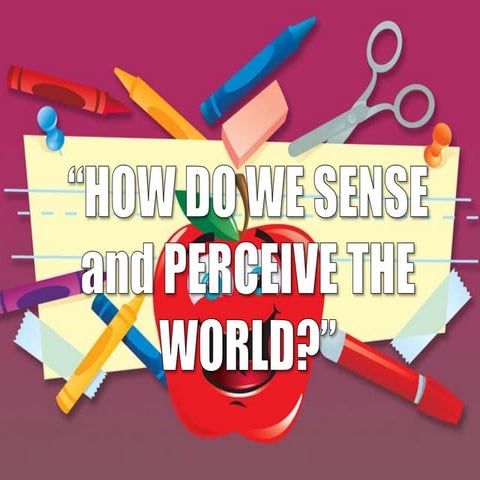 SENSATION AND PERCEPTION Psychology