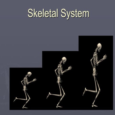 Anatomy and Physiology. CHAPTER 5 Skeletal System