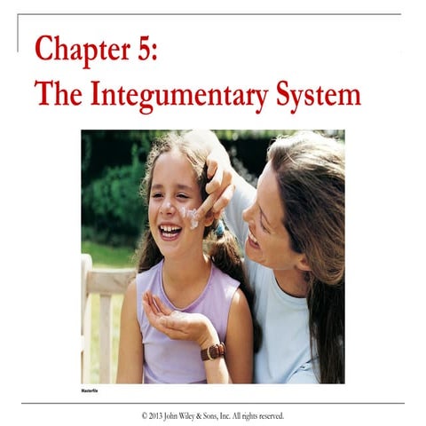 Chapter 5  the integumentary system