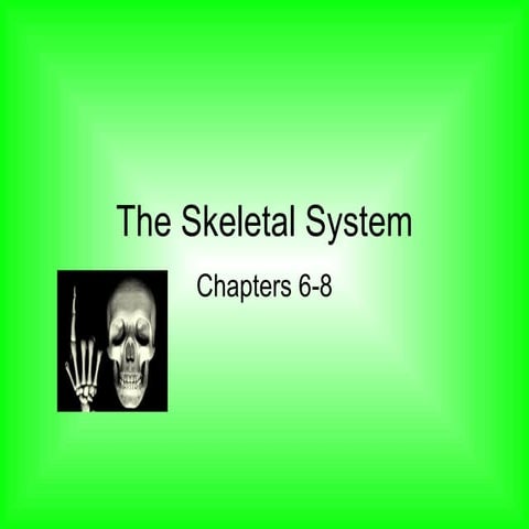 The Skeletal System - Chapter 6