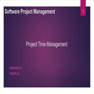 Project Time Management 