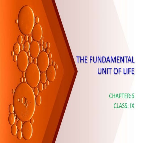fundamental unit of life