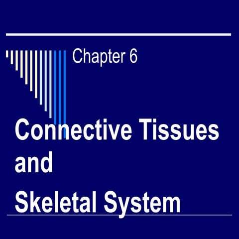 Chapter 6.connective tissue 2