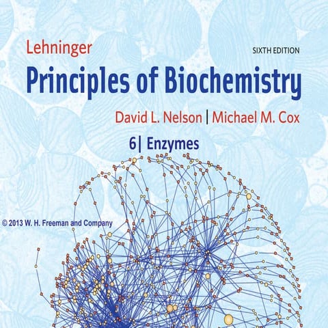 Chapter6 enzymes | PDF